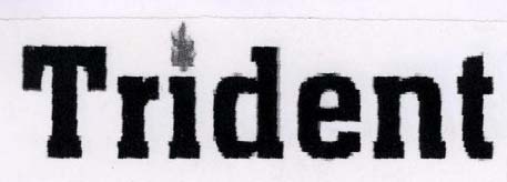 Trident logo