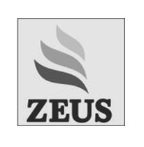 ZEUS logo