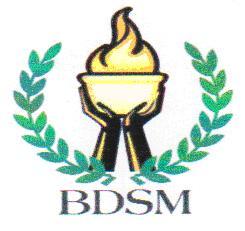 BDSM logo