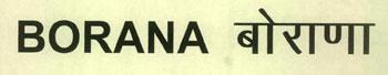 BORANA logo