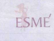 ESME logo