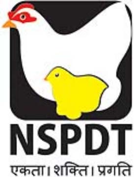 NSPDT logo