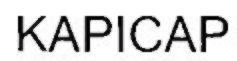 KAPICAP logo