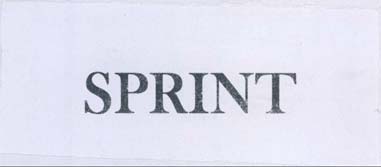 SPRINT logo