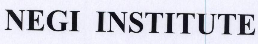 NEGI INSTITUTE logo