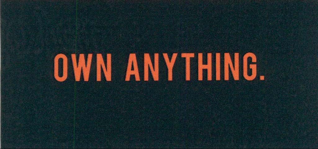 OWN ANYTHING. logo