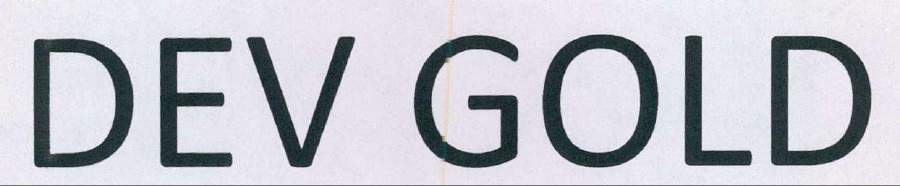 DEV GOLD logo