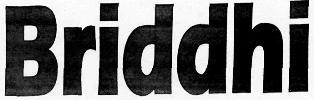 Briddhi logo