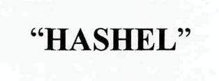 “HASHEL” logo