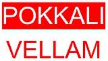 VELLAM logo