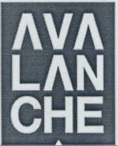 AVA LAN logo