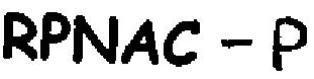 RPNAC - P logo