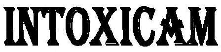 INTOXICAM logo