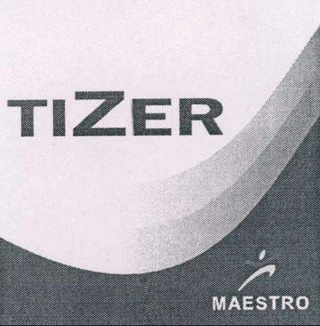 MAESTRO logo