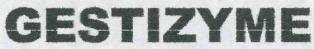 GESTIZYME logo