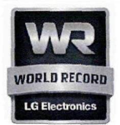 WORLD RECORD logo