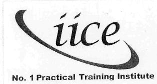 Nice. No. 1 Practical Training Institute logo