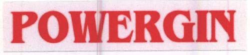 POWERGIN logo