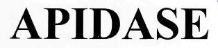 APIDASE logo