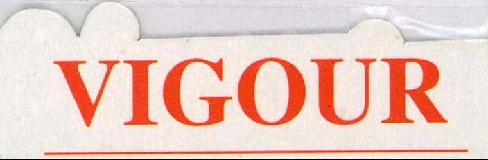 VIGOUR logo