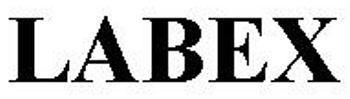 LABEX logo