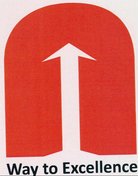 Way to Excellence logo