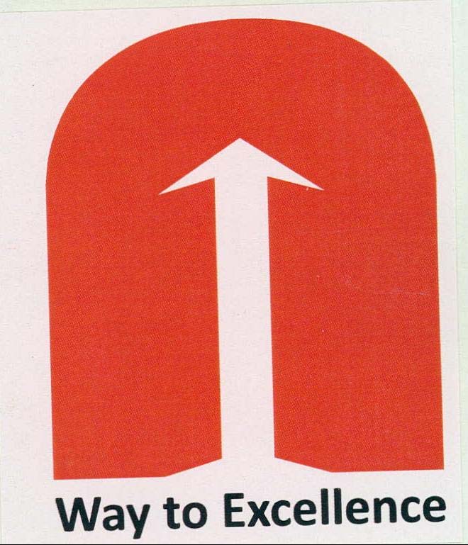 Way to Excellence logo