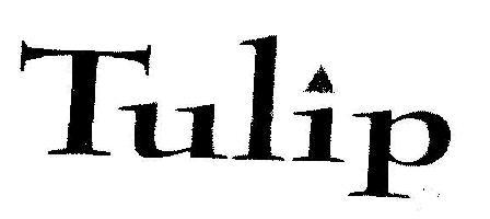 Tulip logo