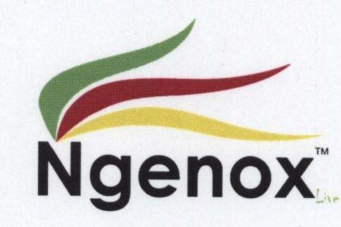 Ngenox logo