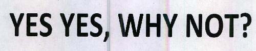 YES YES, WHY NOT? logo