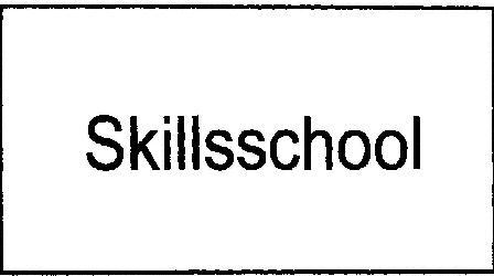 Skillsschool logo