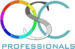 PROFESSIONALS logo