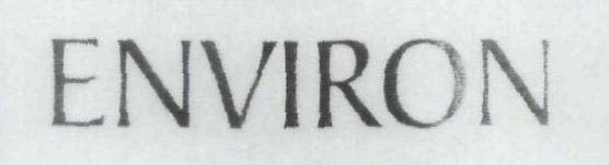 ENVIRON logo