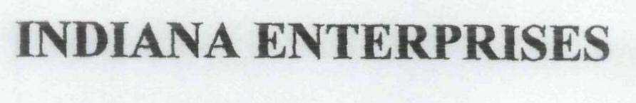 INDIANA ENTERPRISES logo