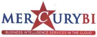 MERJQURYBI BUSINESS INTELLIGENCE SERVICES IN THE CLOUD logo