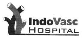 IndoVasc HOSPITAL logo