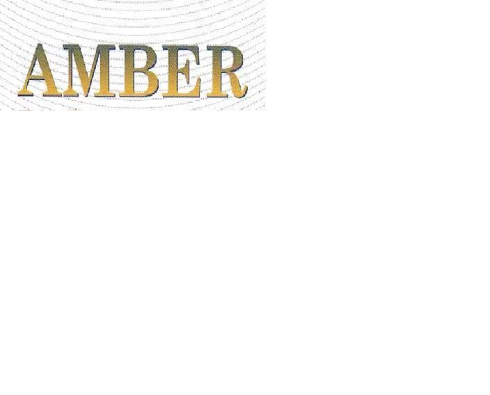AMBER, logo
