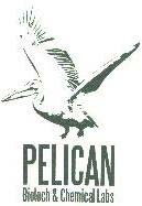 PELICAN logo