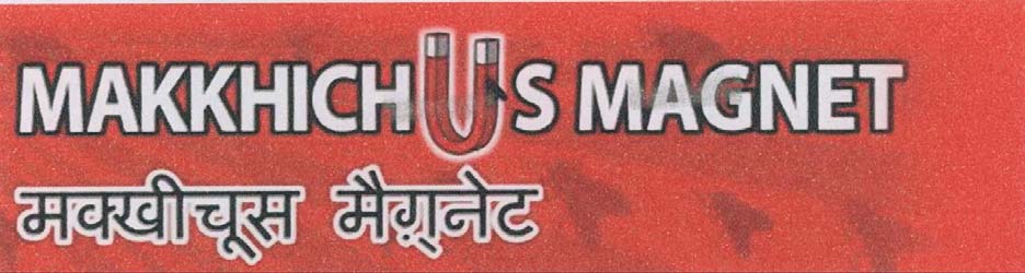 MAGNET logo