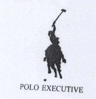 POLO EXECUTIVE logo