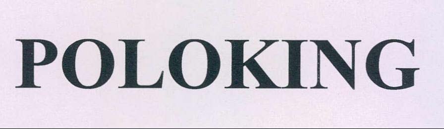 POLOKING logo