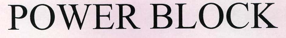 POWER BLOCK logo