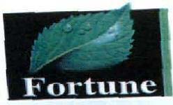 Fortune logo