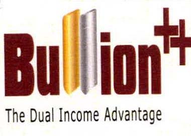 Bil The Dual Income Advantage logo