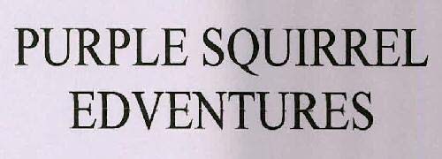 PURPLE SQUIRREL EDVENTURES logo