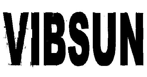 VIBSUN logo