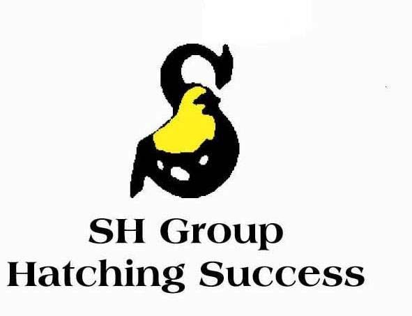 SH Group Hatching Success logo