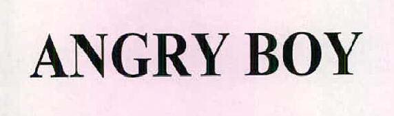 ANGRY BOY logo