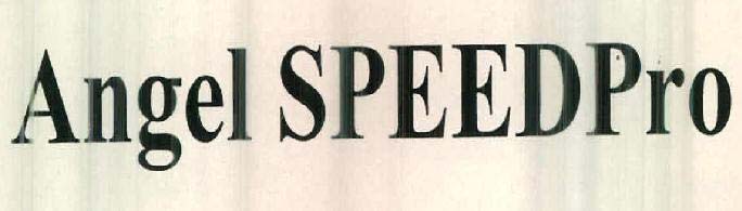 Angel SPEEDPro logo