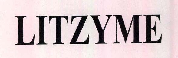 LITZYME logo